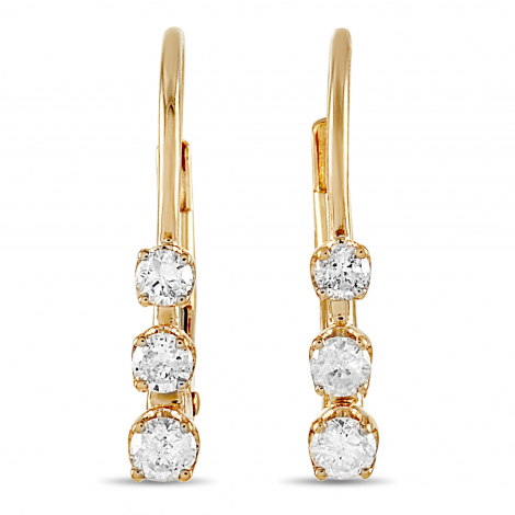 LB Exclusive 14K Yellow Gold 0.25 ct Diamond Earrings